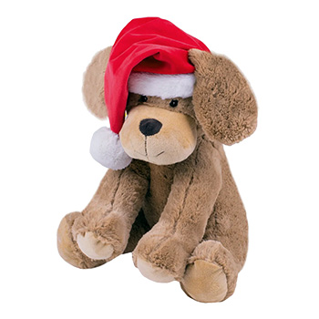 Poklon paket Poklon paket