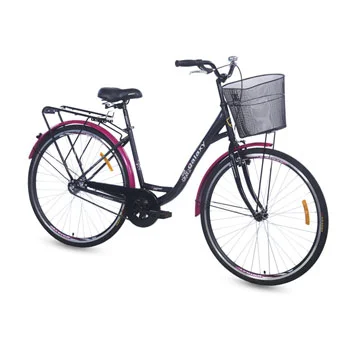 Mega favorit Bicikl ZEFIRUS 28