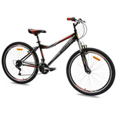 Mega favorit Bicikl FOSTER 6.0 26