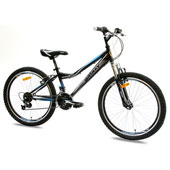 Mega favorit Bicikl FOSTER 4.0 24