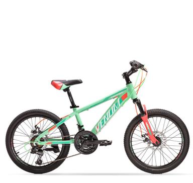 Bicikl Venum 20